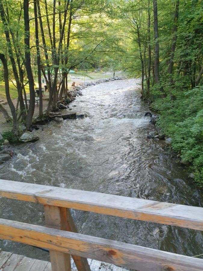 Sunny Blagoewgrad